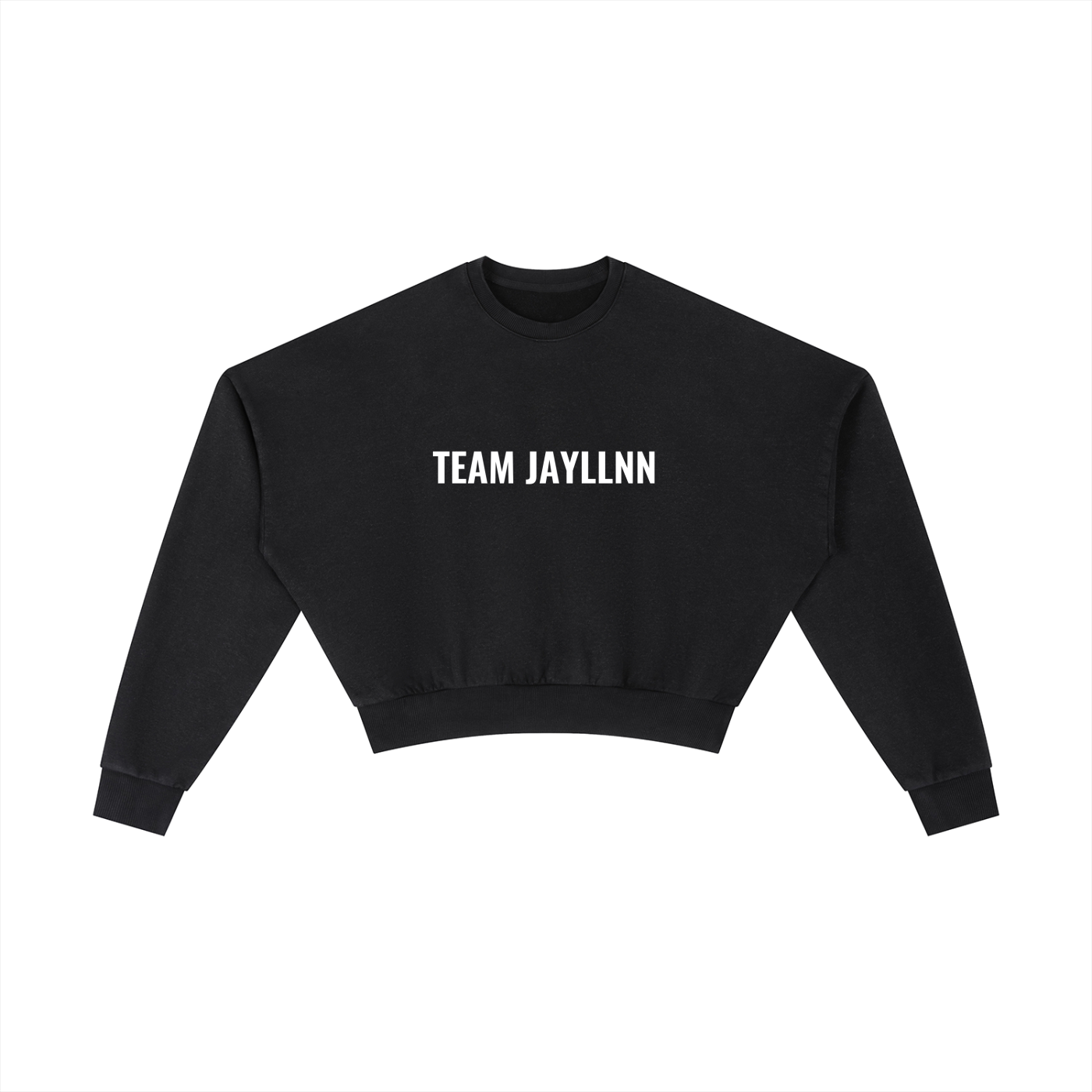 TEAM JAY Cropped Sweatshirt