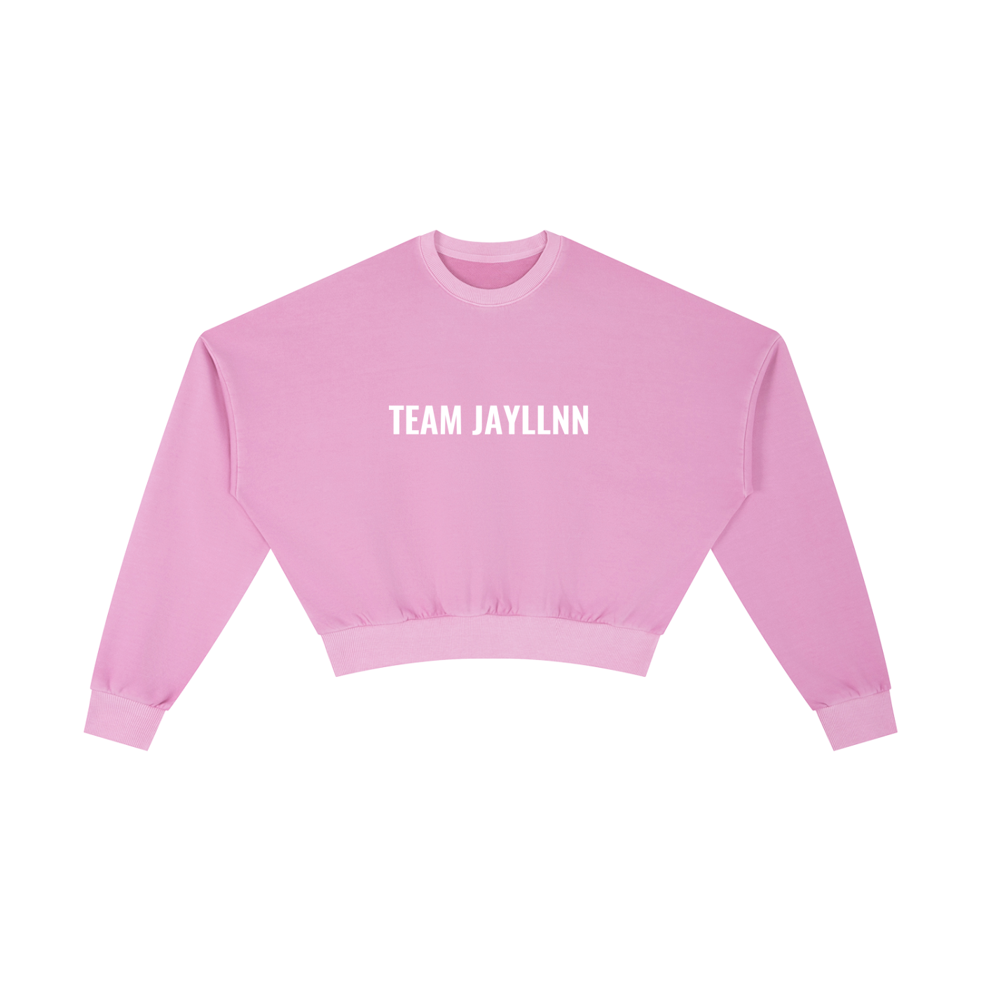 TEAM JAY Cropped Sweatshirt